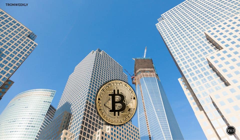 Bitcoin Reaches Historic Milestone In New Daily Addresses, Analysts Share Bullish Outlook