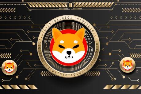 Shiba Inu Sees Surge In Whale Activity, Will This Affect SHIB?