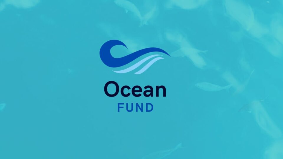 OceanFund Introduces a Community-Led Cryptocurrency Investment Fund