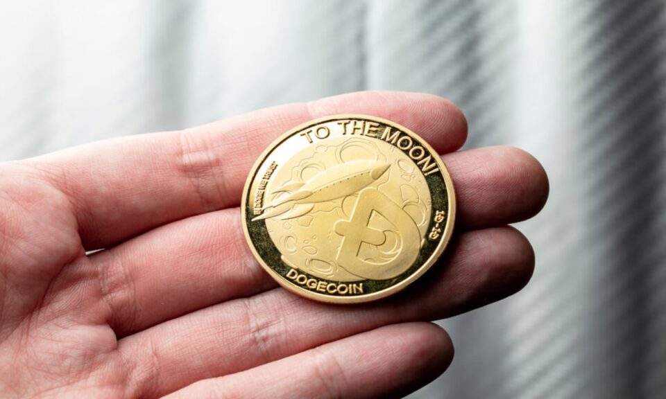 Dogecoin and Bonk See Red as Rival Meme Coin Hits $1.5 Million in ICO