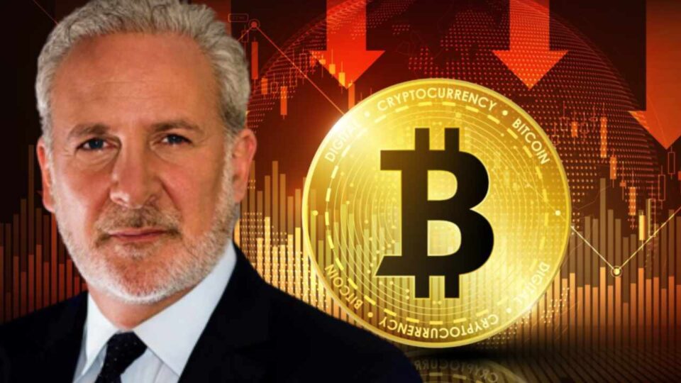 Bitcoin’s Decline Sparks Financial Analyst Peter Schiff’s Ridicule Of Grayscale