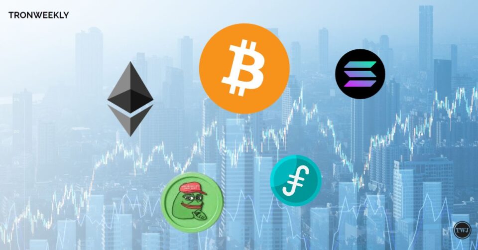 Crypto Alchemy: Turning a Modest $300 Investment into a Whopping $1.03 Million in 10 Days
