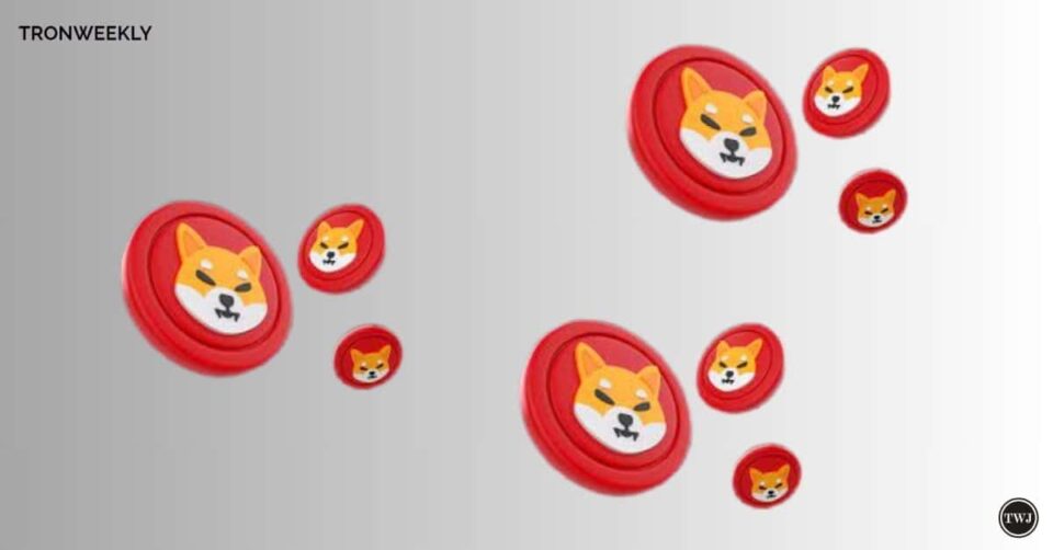 Shiba Inu’s Supreme Soar as No.1 on WazirX