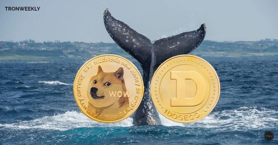 Dogecoin’s ‘30% Whale’ Finally Revealed