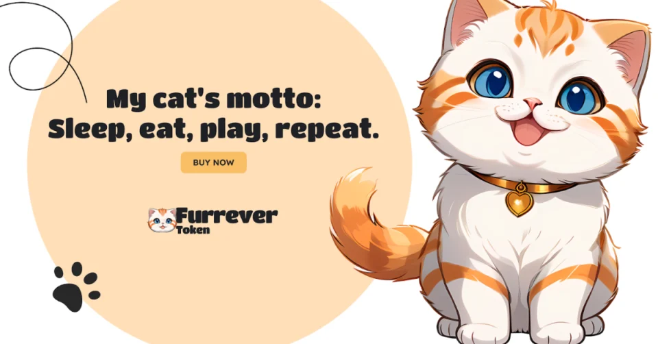 Guide to High ROI: Solana and Ethereum Surge – Get Furrever Token’s 25% Bonus While It Lasts!