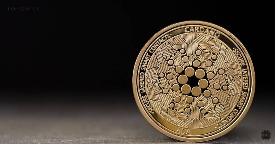 Cardano’s Descent: An Alarming Trend, Lowest in 2024