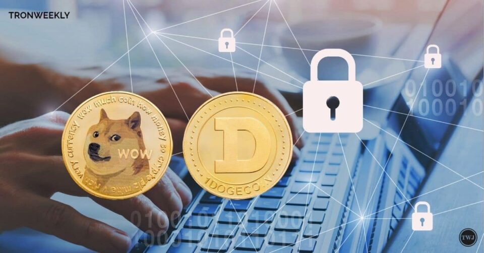 DOGE Developer Slams Media Reports On Dogecoin Foundation