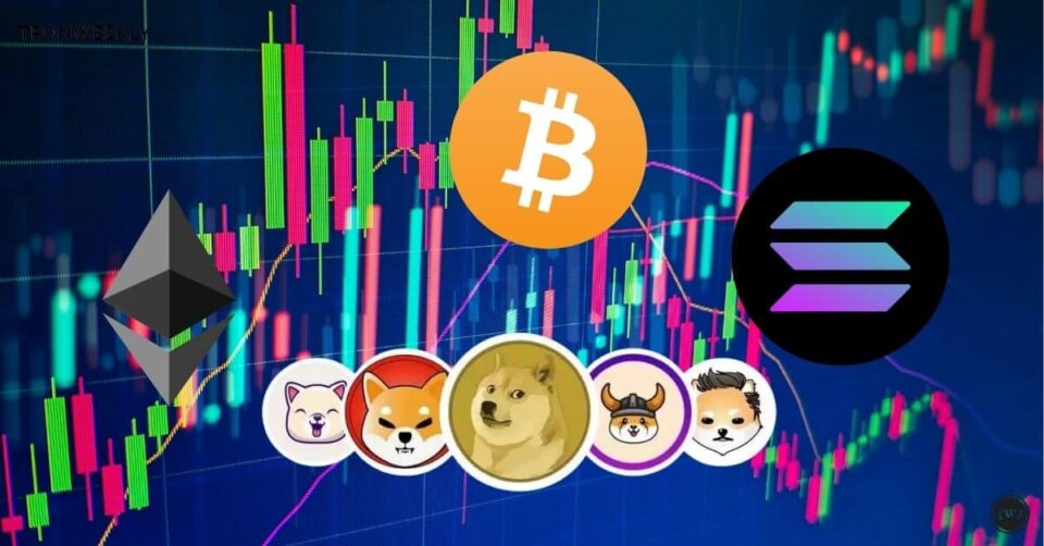 Bitcoin’s Cycle and Altcoin Opportunities: What to Expect in the Upcoming Bull Run